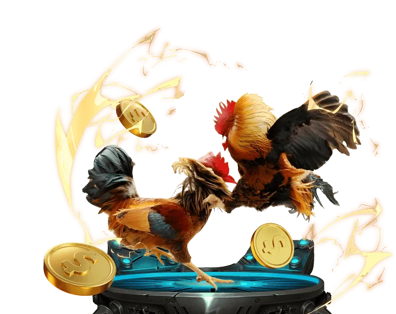 Hoàn trả cược hàng tuần